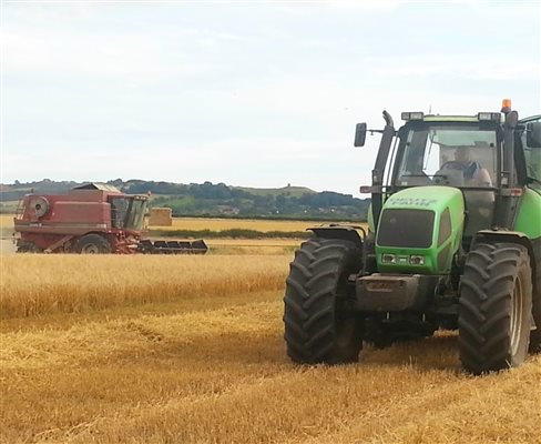 Collecting the harvest in August and September